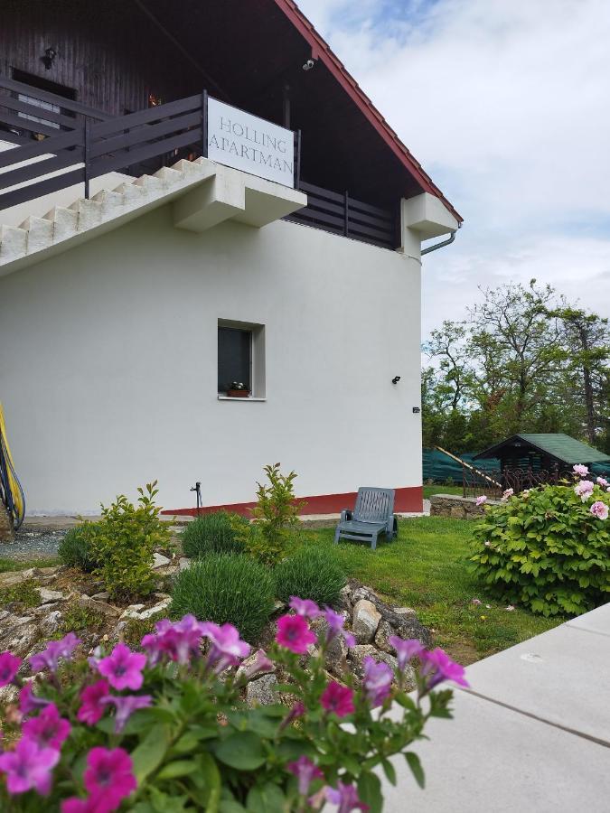 Holling Apartman Fertőboz Exteriér fotografie